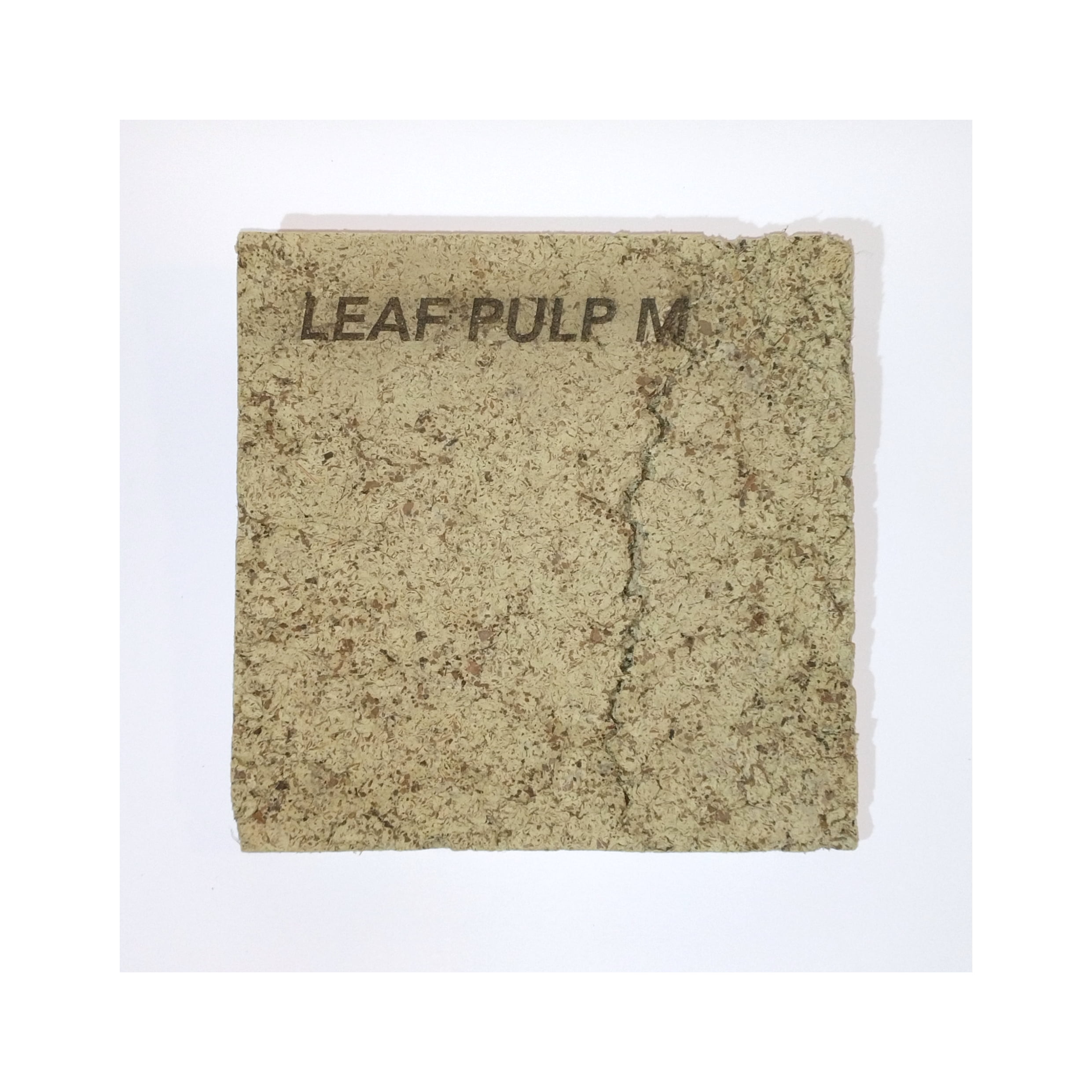 Leaf Pulp Image 6